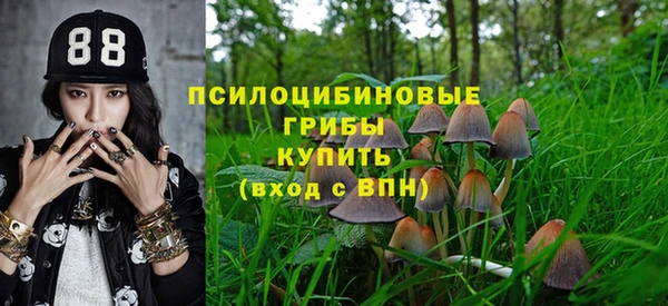 спайс Володарск