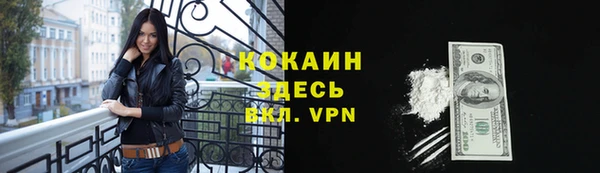 молекула духа Волоколамск