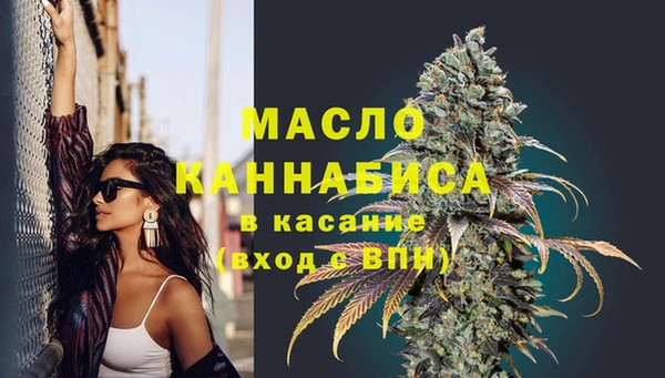 молекула духа Волоколамск