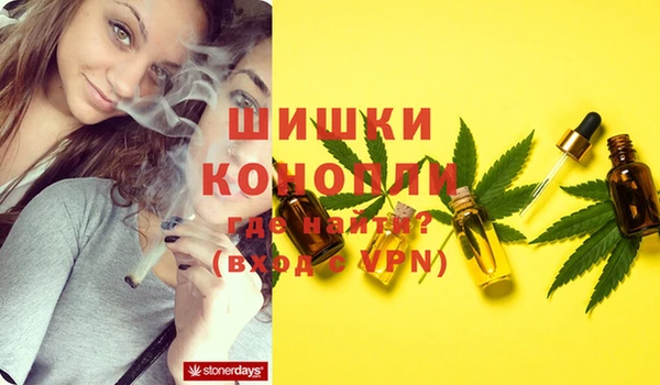 молекула духа Волоколамск